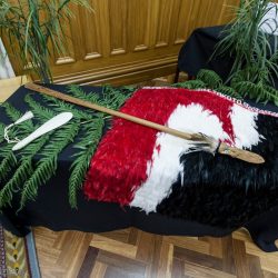 Te Runanga o NgāiTakoto Management Report